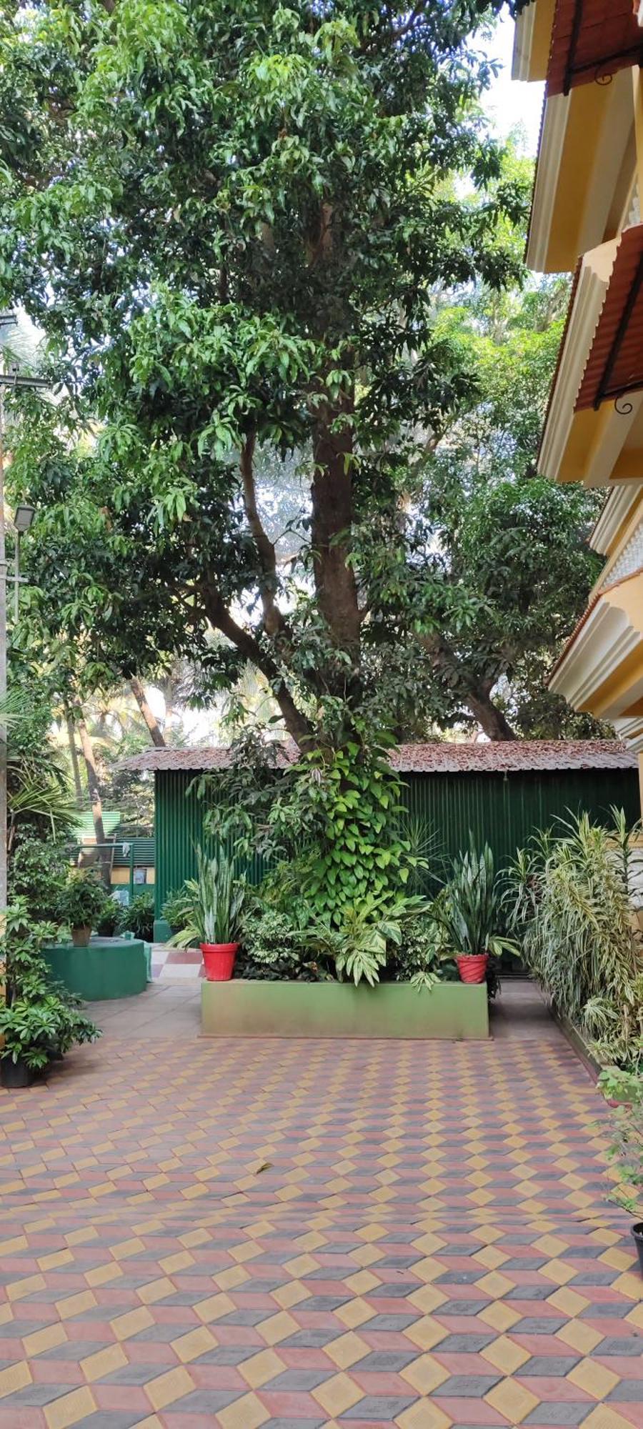 Ena Holiday Inn Calangute Buitenkant foto